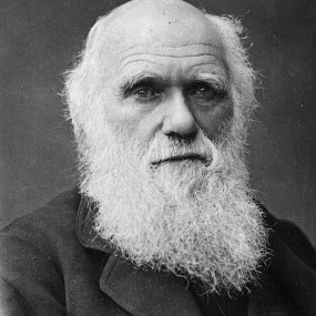 Darwin Day