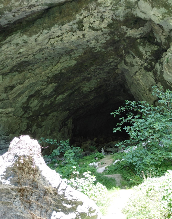 Grotta Camerona