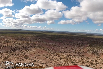 In Patagonia alla scoperta dei dinosauri