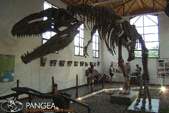 In Patagonia alla scoperta dei dinosauri