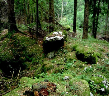 Ronzo Chienis | 1. Grotta di Stenone