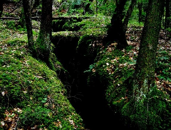 Ronzo Chienis | 2. Grotta di Stenone