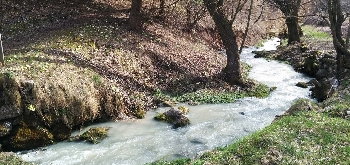 Ronzo Chienis | 1. Rio Gresta