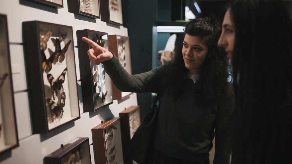 Fondazione Museo Civico di Rovereto