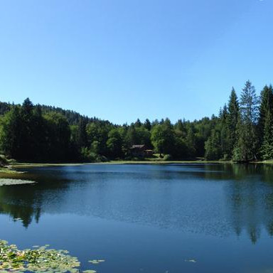 Passeggiata naturalistica al Lago di Cei