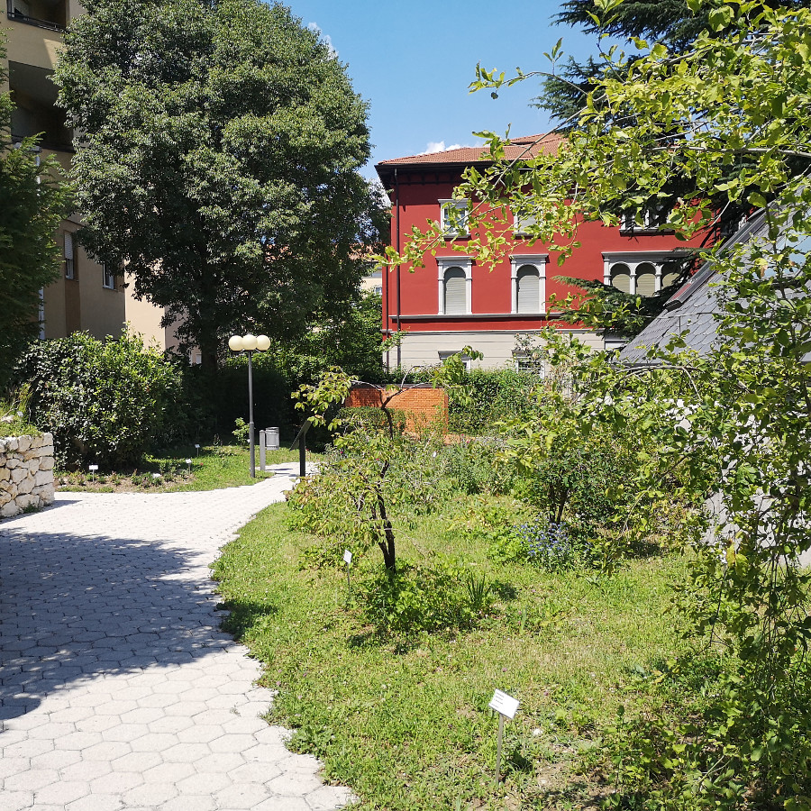 Giardino Museo Scienze e Archeologia