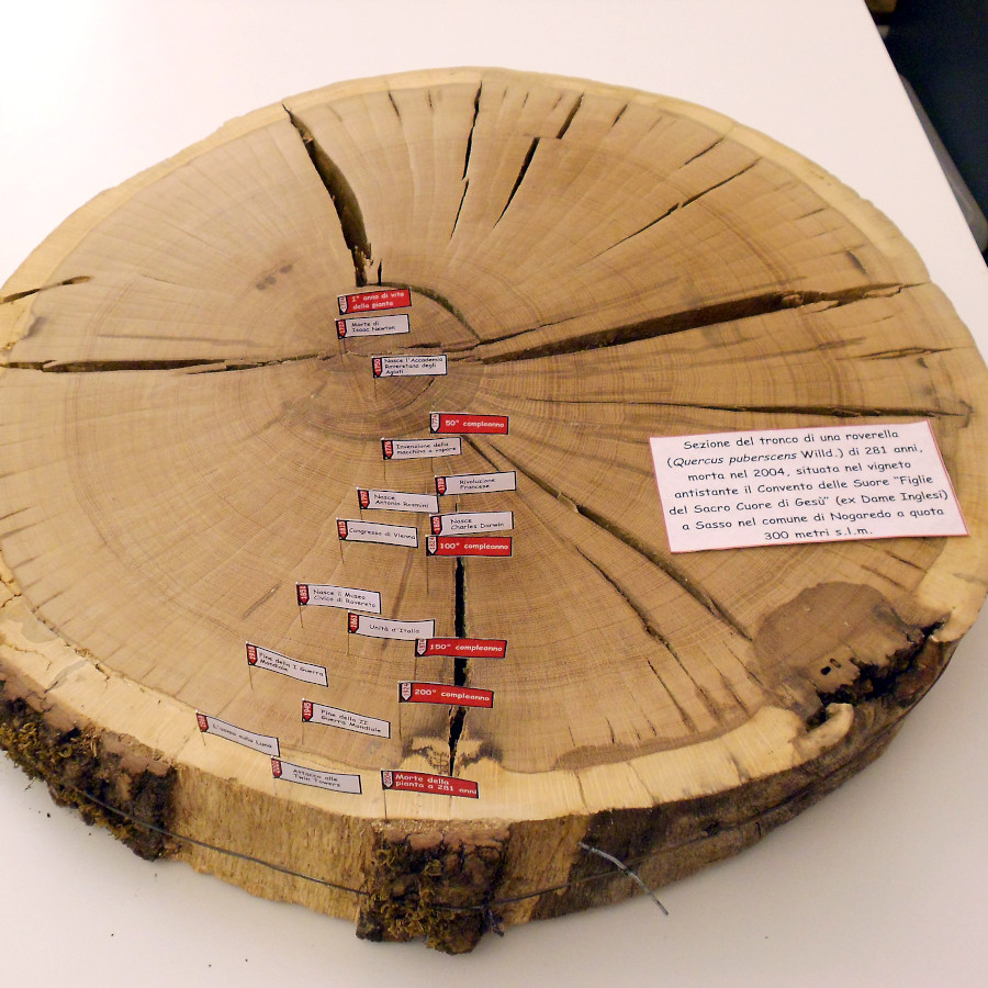 Leggere il clima negli anelli degli alberi