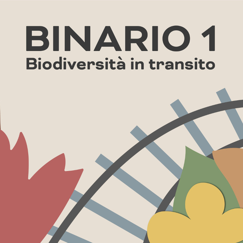 Binario 1. Biodiversità in transito