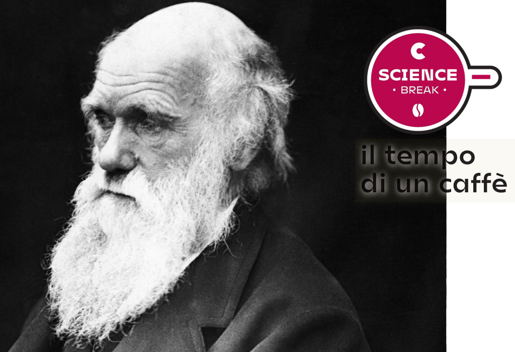 Darwin day 2022, l'evoluzione in tempi di global change