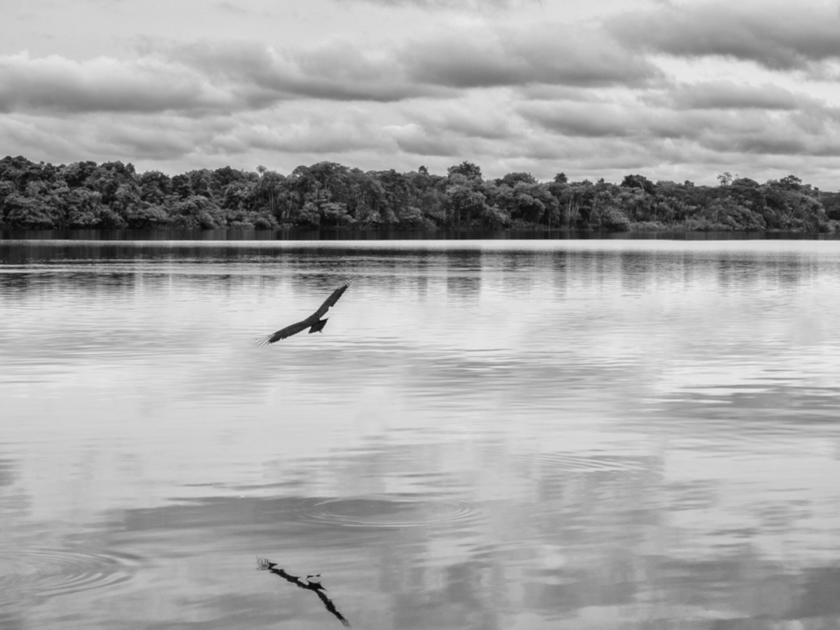 Amazzonia | "Entrata proibida", ©Pino Ninfa