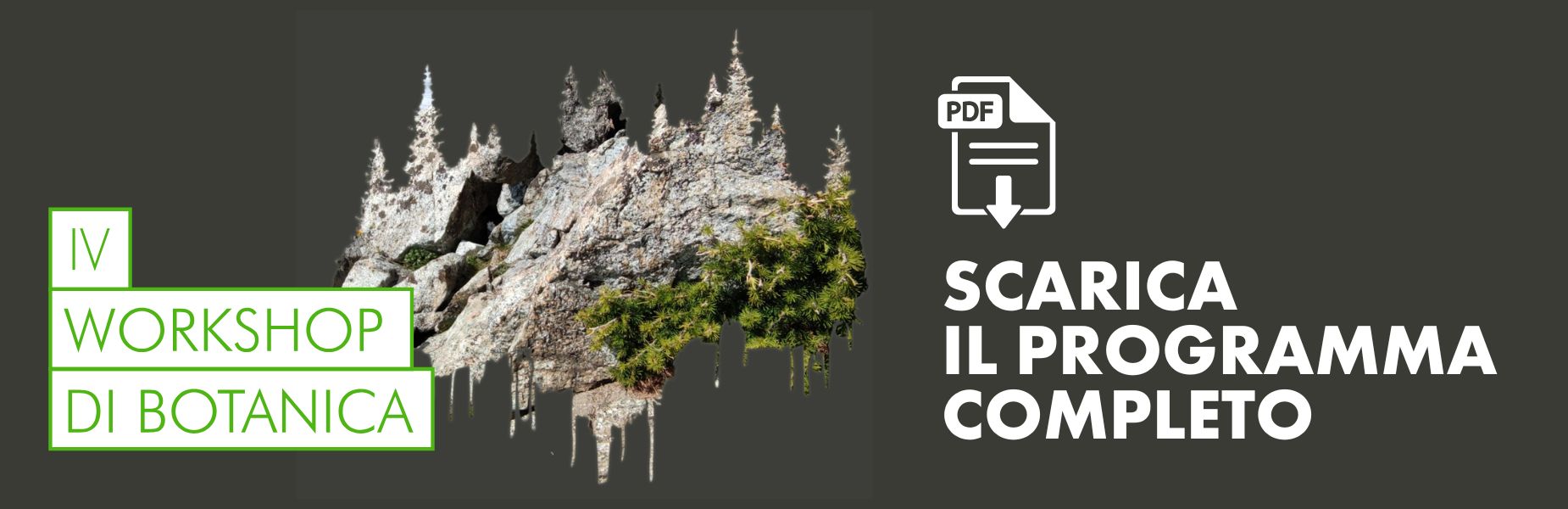 banner scarica il programma