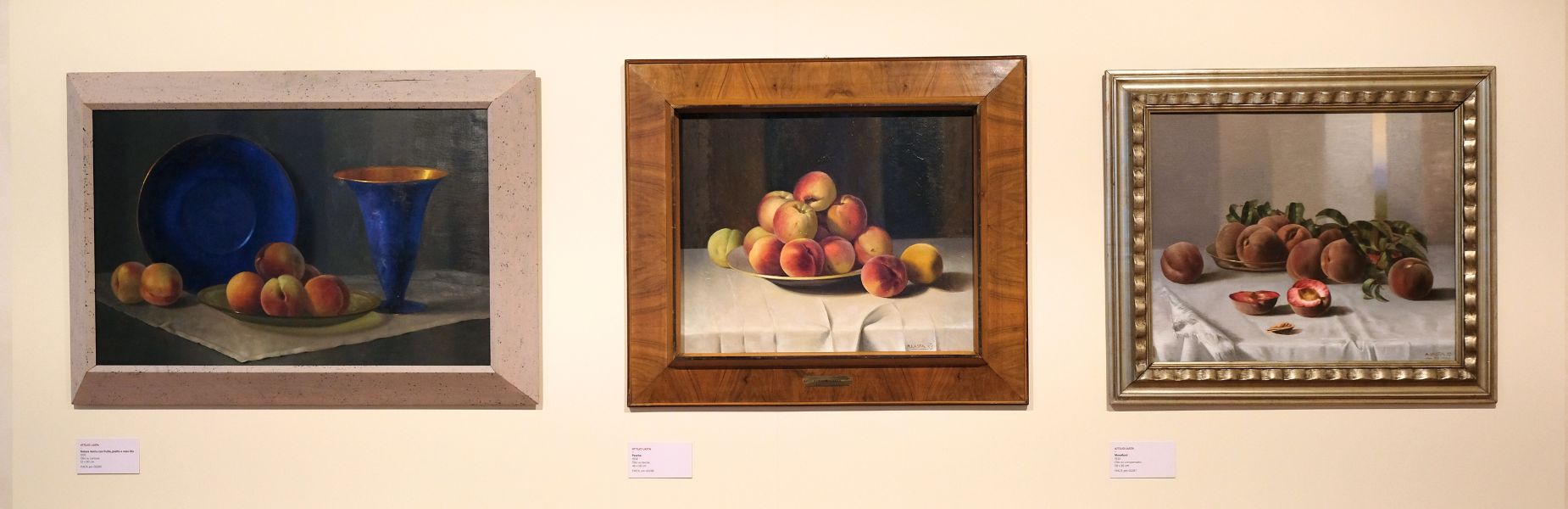opere in mostra