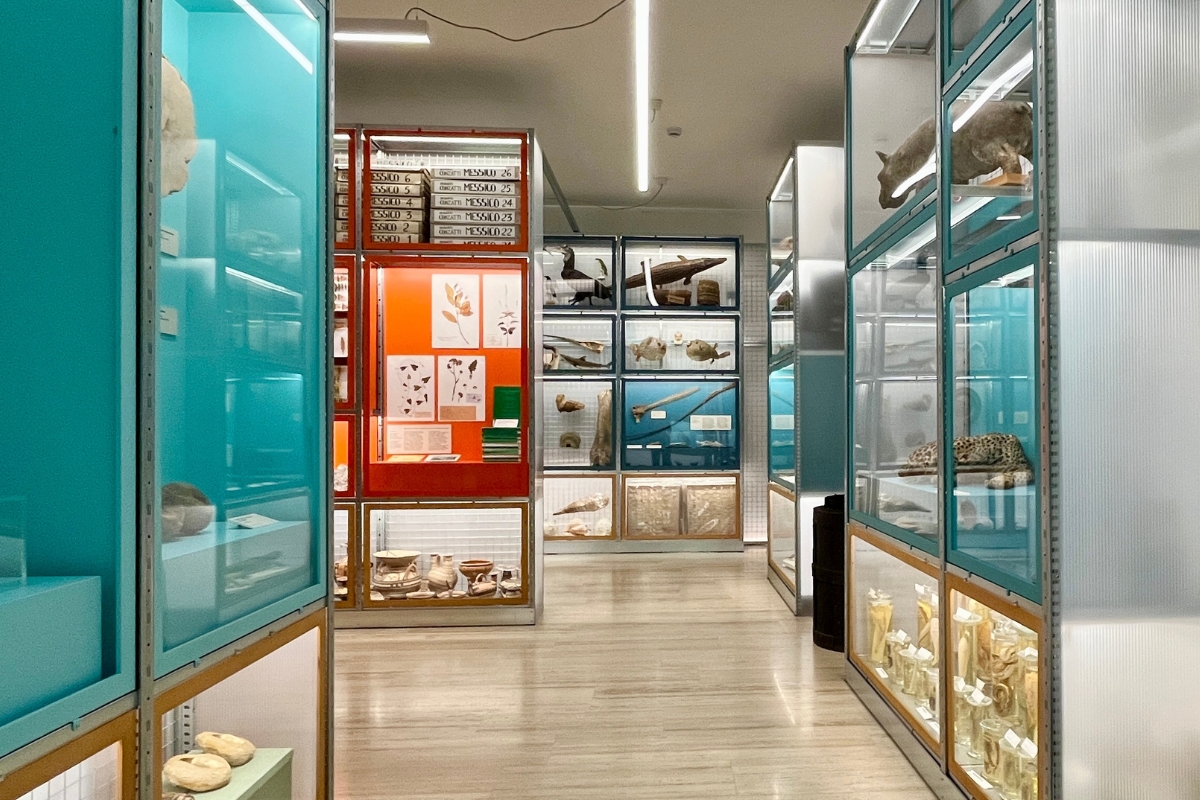 un museo da scoprire_generica