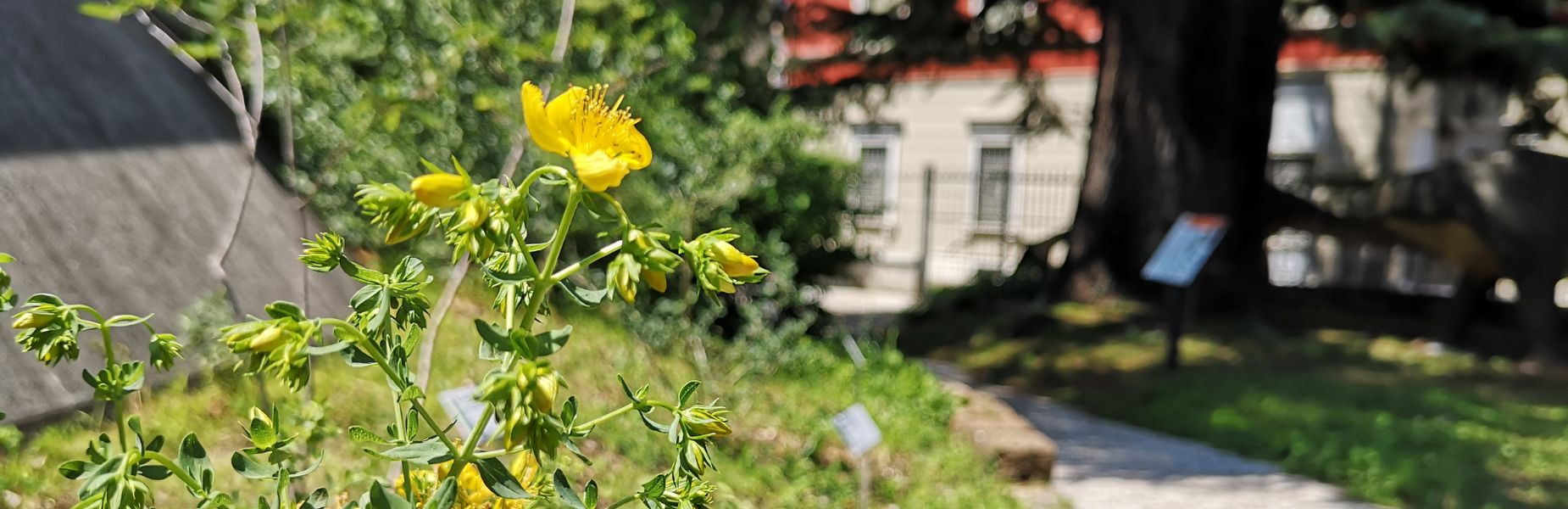 Giardino museo scienze e archeologia
