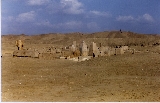 7007_64c.jpg 7007_64c.jpg