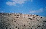 6768_29h.jpg 6768_29h.jpg