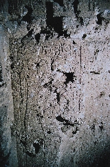 6768_37d.jpg 6768_37d.jpg