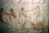 6768_48h.jpg
6768_48h.jpg