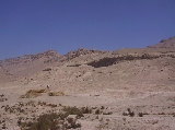 6767_10_8356.jpg 6767_10_8356.jpg
