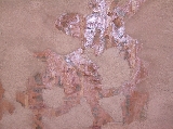6767_10_8502.jpg 6767_10_8502.jpg