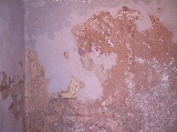 6767_10_8504.jpg 6767_10_8504.jpg