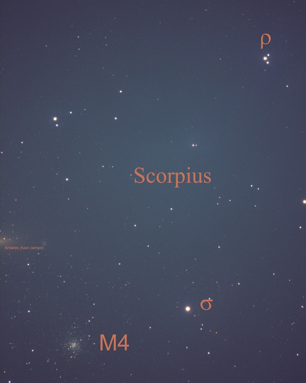 Ad Ovest del Sagittario, troviamo la costellazione dello Scorpione, caratterizzata dalla stella supergigante rossa Antares (se la mettessimo al posto del Sole, la sua sua superficie supererebbe l'orbita di Marte!). Vicino ad essa troviamo il grazioso ammasso globulare M4, un insieme di decine di migliaia di stelle, visibile come una macchiolina con un binocolo e risolvibile in stelle con un telescopio. Le immagini sono scattate dall'Osservatorio Astronomico Monte Zugna, utilizzando un teleobiettivo con 400mm di focale, f./2.8, su pellicola Kodak E200, posa 10'. (testo e foto P.Ochner)