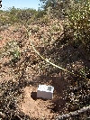 EC_FZ1255.jpg