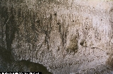 7007_79c.jpg 7007_79c.jpg