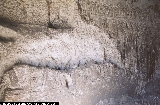 7007_79e.jpg 7007_79e.jpg