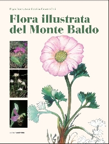 Flora illustrata del Monte Baldo