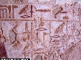 6767_41_8290 6767_41_8290