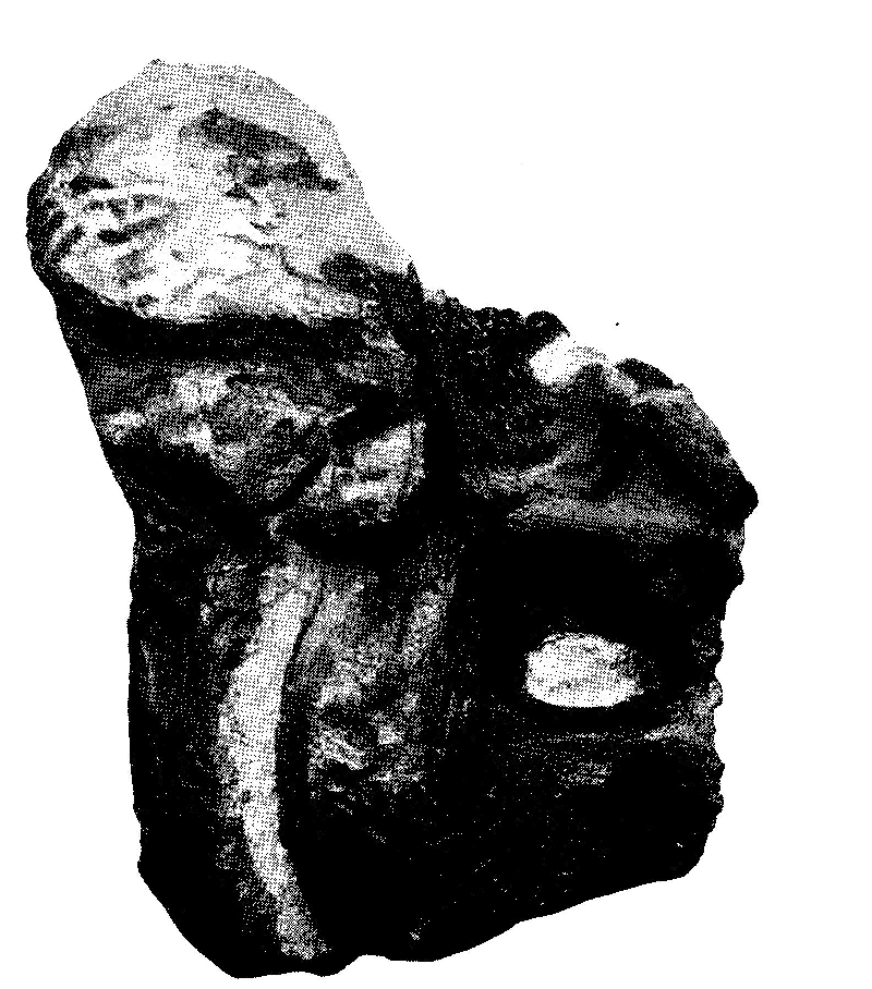 Longman_1933_001.jpg Fondazione Museo Civico di Rovereto