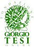 Fondazione Giorgio Tesi