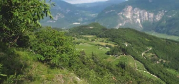 La Necropoli di Servis